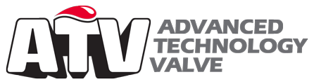 Advanced Technology Valve S.P.A. (ATV) (1)